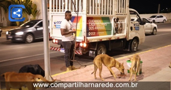 Prefeitura de Petrolina inicia projeto para ampliar o número de castrações de animais em situação de rua