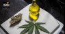 Anvisa propõe venda de Cannabis medicinal em farmácia de manipulação