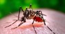 Aumenta em Pernambuco número de municípios em situação satisfatória quanto ao combate à dengue