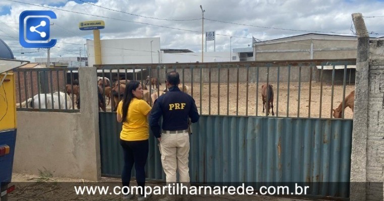 Prefeitura desenvolve ações de controle e resgate de animais através do Centro de Controle de Zoonoses