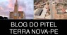 Homem é detido em bar no centro de Terra Nova por mandado de prisão. 