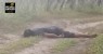 CORPO DE HOMEM COM MARCAS DE ESPANCAMENTO E TIROS É ENCONTRADO EM ESTRADA RURAL DE ALTINHO PE