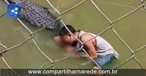 Turista é atacado por crocodilo após confundi-lo com estátua em zoológico; Assista
