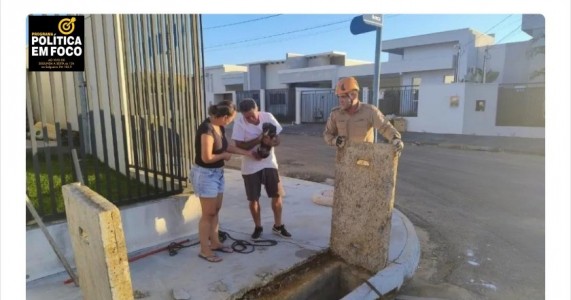 Corpo de Bombeiros resgata porco-do-mato em residência e retira cadela do bueiro