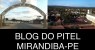 Mirandiba-PE: Homem rouba celular, foge e sobe em um pé de coqueiro para se esconder.