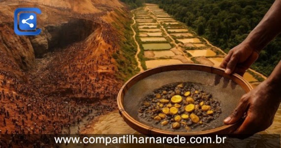 Corrida pelo ouro na Amazônia pode dar origem a uma nova Serra Pelada; entenda