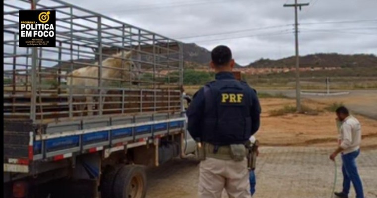  MAIS SEGURANÇA NAS BRs DE SALGUEIRO 