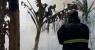 Incêndio destrói 600 hectares de plantação de banana em área ocupada pelo MST no norte da Bahia