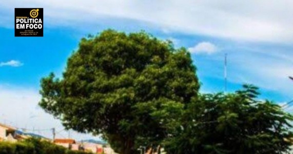Um caso chocante de assassinato e fraude está sendo investigado em São Carlos