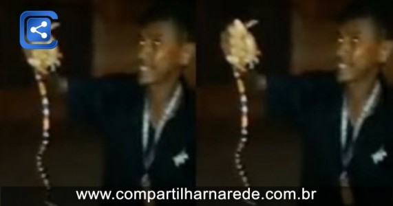 Nordeste: Homem brinca com cobra-coral, é picado e morre; Veja vídeo