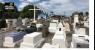 Cidade do RN autoriza sepultamento de pets junto aos tutores em cemitérios públicos e privados