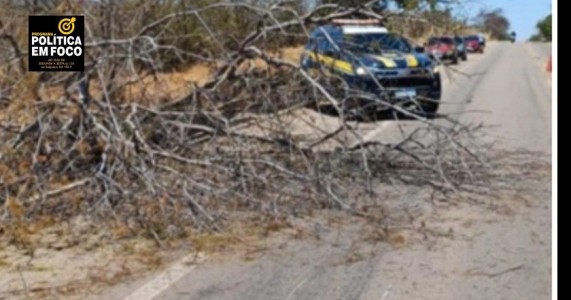 Líder comunitário morre em colisão de moto com árvore em Araripina
