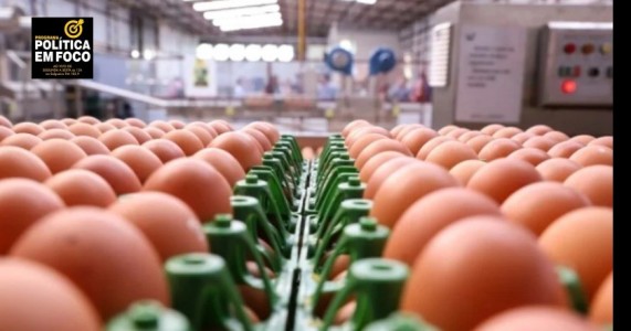 Pernambuco avança no ranking nacional de produção de ovos e abate de bovinos