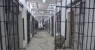 Detentos quebram muro de penitenciária em Itamaracá