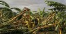 Ventos fortes destroem plantações de banana em Santa Maria da Boa Vista