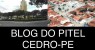 Cedro-PE: Irmão agride e irmã e é detido por Policiais. 