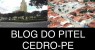 Em Cedro, um homem agride a companheira, fere a cunhada com uma faca e tenta invadir a casa da sogra. 