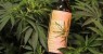 Conheça o vinho de maconha que dá “barato” sem nada de álcool