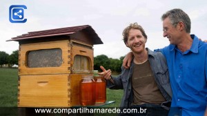 Esta colmeia inovadora deixa você colher mel automaticamente sem perturbar as abelhas