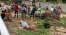 Fim de semana com três homicídios no Cariri e três mortes em acidentes de trânsito