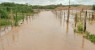 Chuvas renovam a esperança dos agricultores em Serrita-PE