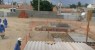 Prefeitura e MPPE se unem contra construção de subestação da Celpe em Petrolina e obra é interditada