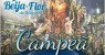 Beija Flor é a campeã do Carnaval 2018 e tem um salgueirense como produtor da Escola de Samba. 