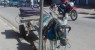 Jumento é deixado sob sol forte sem água ou comida no Bairro José e Maria e revolta leitor em Petrolina-PE