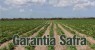 Trindade: Problemas técnicos podem deixar agricultores sem receber Garantia-Safra 2017