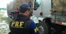 Motoristas de caminhão são flagrados com “arrebites” na BR-316 em Ouricuri, PE