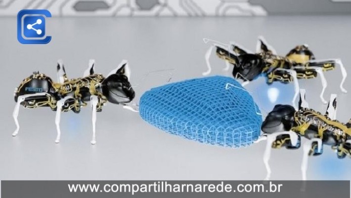 ‘Formigas robôs’ podem ser futuro do trabalho em fábricas; entenda