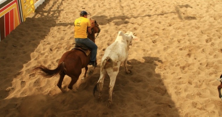 Notícia boa para os amantes de Vaquejada:  O esporte pode ser legalizado em Pernambuco.