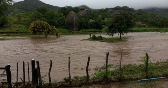 Chuva muda o cenário no Interior de Pernambuco