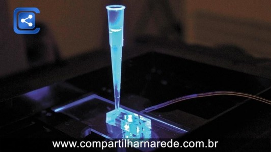 Cientistas cultivam 'coração-em-chip' que bate como o órgão humano