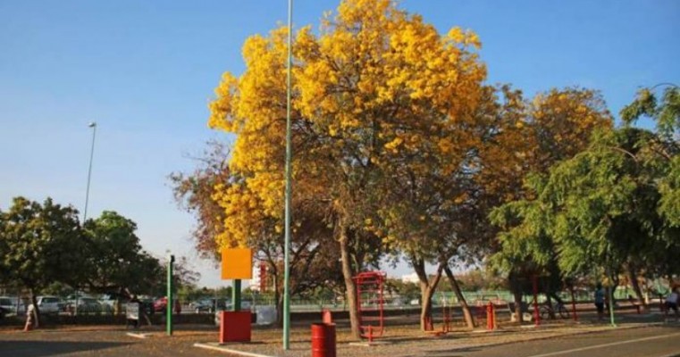 Sessões gratuitas de cinema serão exibidas hoje e amanhã para alunos da rede municipal e crianças carentes de Petrolina-PE