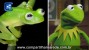 Ele existe! Cientista descobre espécie de sapo igual ao Caco, dos Muppets