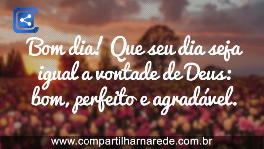 Bom Dia!!!