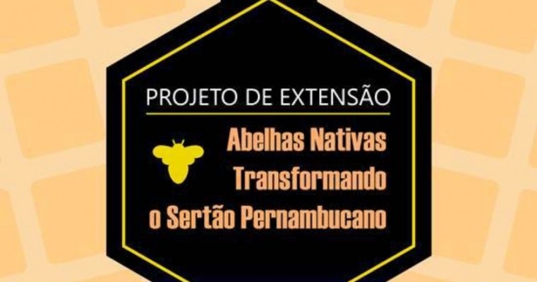 Ouicuri: Campus do IF Sertão-PE inicia projeto de extensão sobre importância das abelhas