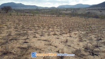 Uri falta de água em Salgueiro, PE 