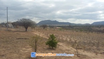 Uri falta de água em Salgueiro, PE 