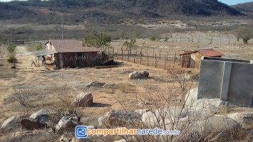 Uri falta de água em Salgueiro, PE 