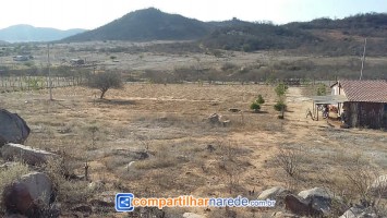 Uri falta de água em Salgueiro, PE 