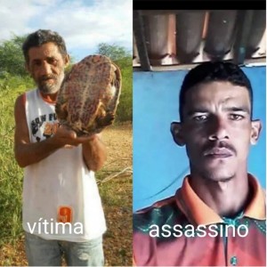 Titulo
