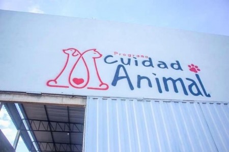 Titulo