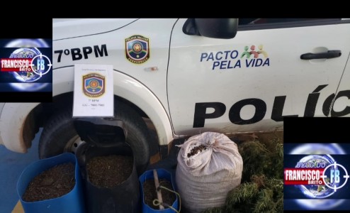 Titulo