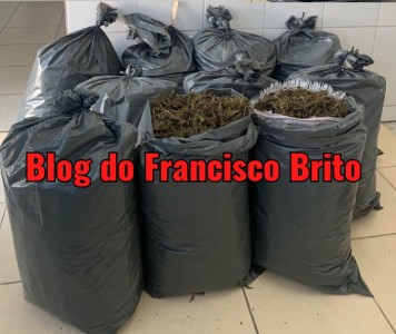 Titulo