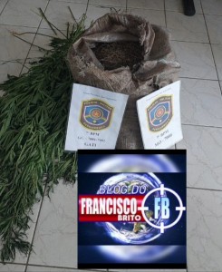 Titulo