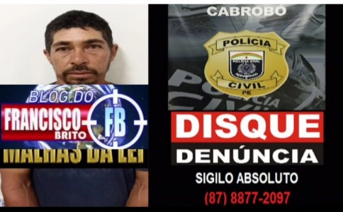 Titulo