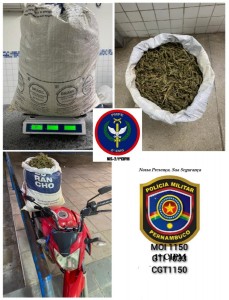 Titulo