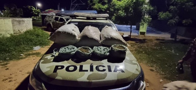 Titulo